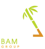 Bambirtue Group