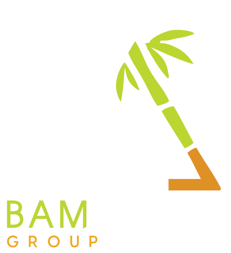 Bambirtue Group